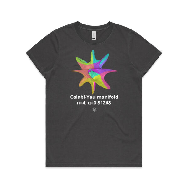 Calabi-Yau Manifold Thumbnail